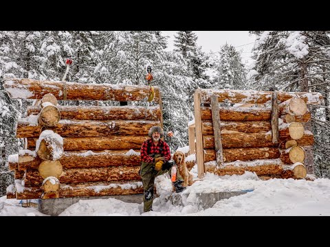 Building an Off Grid Log Cabin Alone in the Wilderness, Ep 9