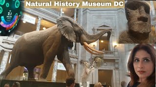 Natural History Museum Smithsonian 🦕 Washington D.C Full Tour