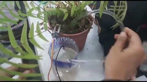 Smart Irrigation System using IoT - Project assignment for Skyfi Labs online course