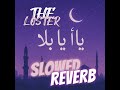 Amr Diab Ya Ana Ya La Slowed Reverb Lofi Arabic Vibe Amr Diab Ya Ana Ya La Slowed Reverb Lofi Arabic Vibe