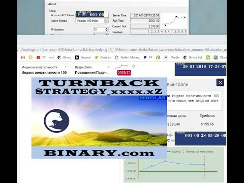 TURNBACK Strategy_xxxx.xZ Binary.com
