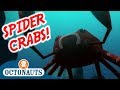 Octonauts - The Spider Crabs | Full Episode | Cartoons for Kids