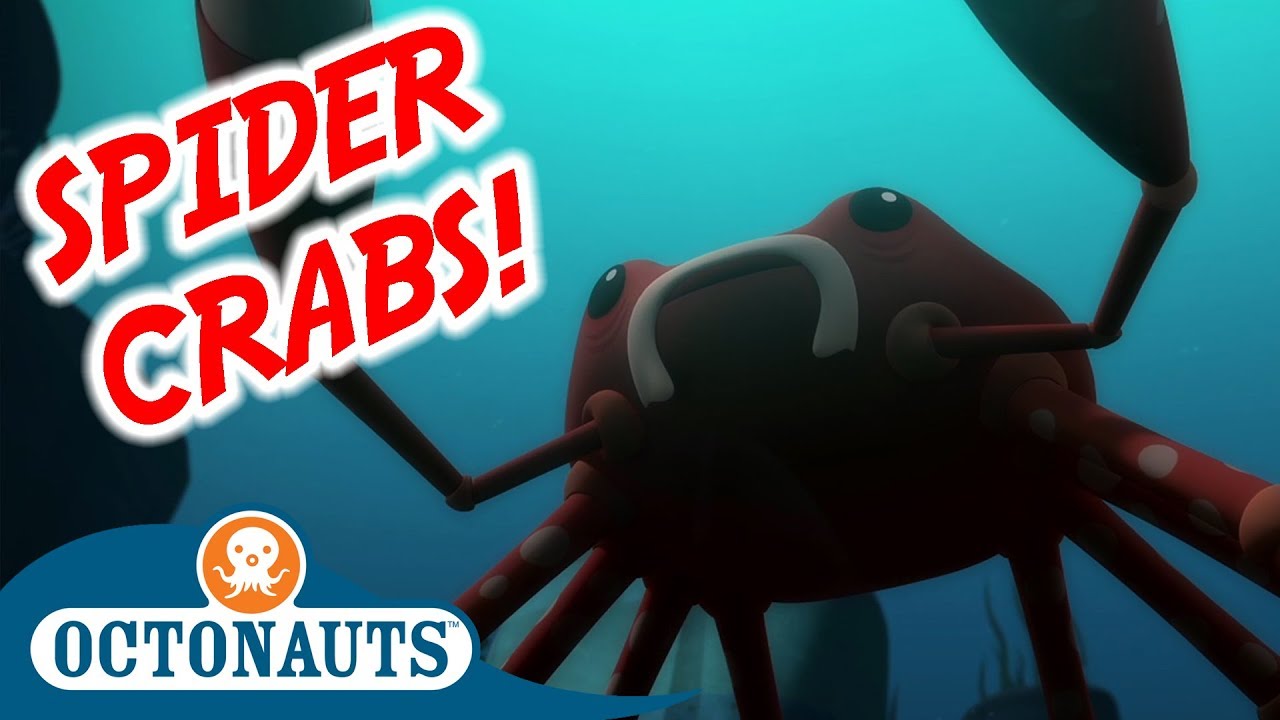 Octonauts Crab And Sea Urchin