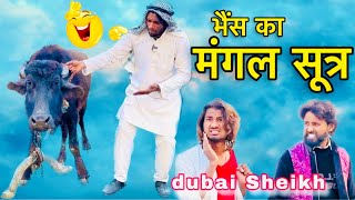इंडिया में भैंस का मंगल सूत्र होती 🤣🤣🤣 | dubai Sheikh habibi viral video #comedy #funny #viral