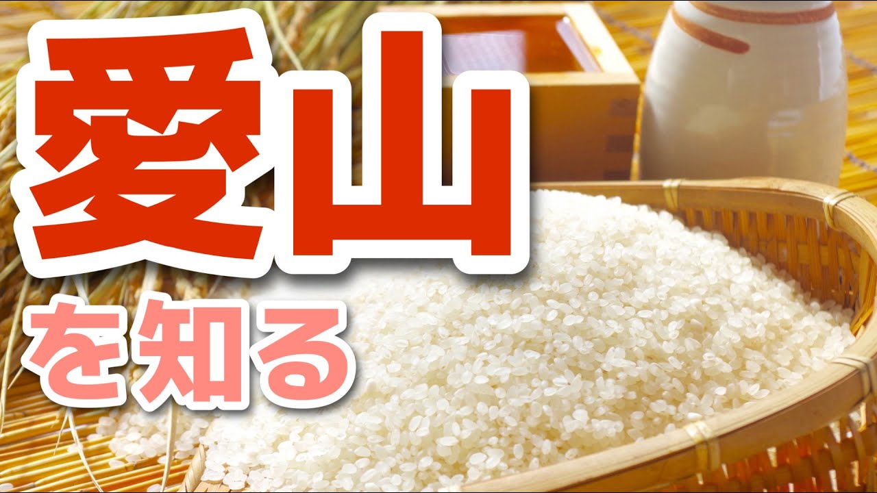 【日本酒の勉強】幻の酒米！「愛山」とは？？