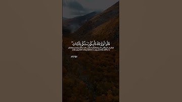 وقال الذين فى النار لخزنة جهنم ادعوا ربكم يخفف عنا يوما من العذاب سورة غافر ايات ٤٩ ٥٠ سلمان العتيبي
