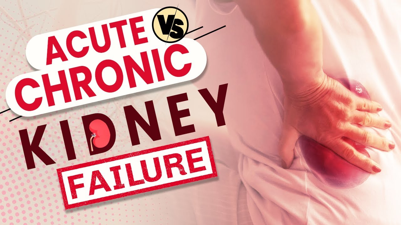 acute-kidney-failure-vs-chronic-kidney-failure-explained-youtube