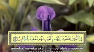 Surat Al Mulk - Muh Thaha Al Junaid