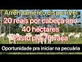 Disponível 40hectares de pasto pra 70 vaca ano valor do aluguel 20 reais por cabeça