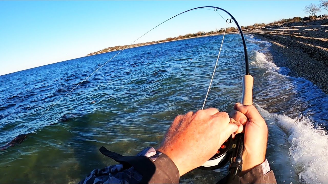 First Time Fly Fishing Big Surprise! YouTube