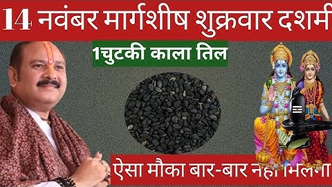 14 नवंबर मार्गशीर्ष शुक्रवार दशमी तिथि को 1 छुटकी काला तिल वाला उपाय जरुर करे || Pradeep Ji Mishra 