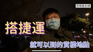 【獅恆遍野】搭捷運就會到的賞櫻地點！準備要來樂活公園賞櫻花了！