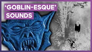 Experts React To Terrifying 'Goblin-esque' Sounds | Paranormal Caught On Camera