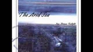 The Arid Sea -  The Moon Follows Mercury
