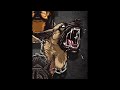 [ESDEEKID TYPE BEAT] "MALINOIS" (Prod.Hersett)