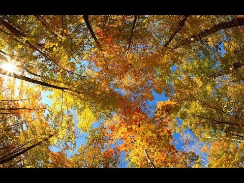 Vangelis    Twenty Eight  Parallel