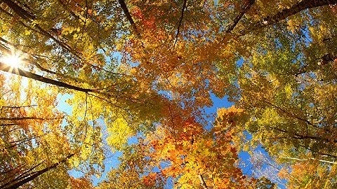 Vangelis    Twenty Eight  Parallel