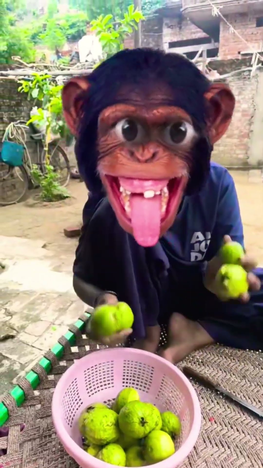 Monkey Uncle came for dinner 🐵 Viral video 😜😜 shorts