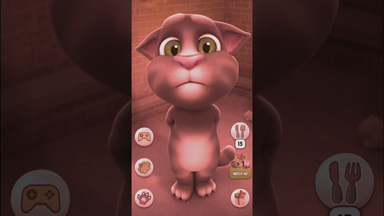 Talking Tom Cat Shorts 