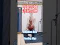 Still & Float❣️《不動の軸 浮動の腰》The profound philosophy of 🇯🇵 martial arts😉#shorts