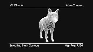 3D Wolf Model Turnaround
