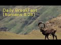 ""Divine Providence: God Works All Things for your Good" Romans 8:28 Subscribe, like, share