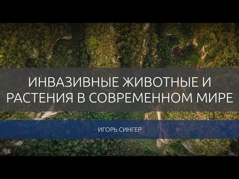 Видео: Гипогликемия у пациентов с врожденными заболеваниями мышц