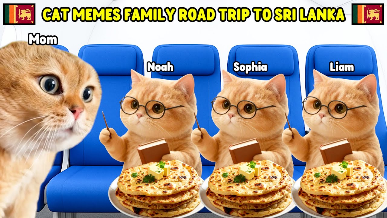 CAT MEMES FAMILY ROAD TRIP TO SRI LANKA