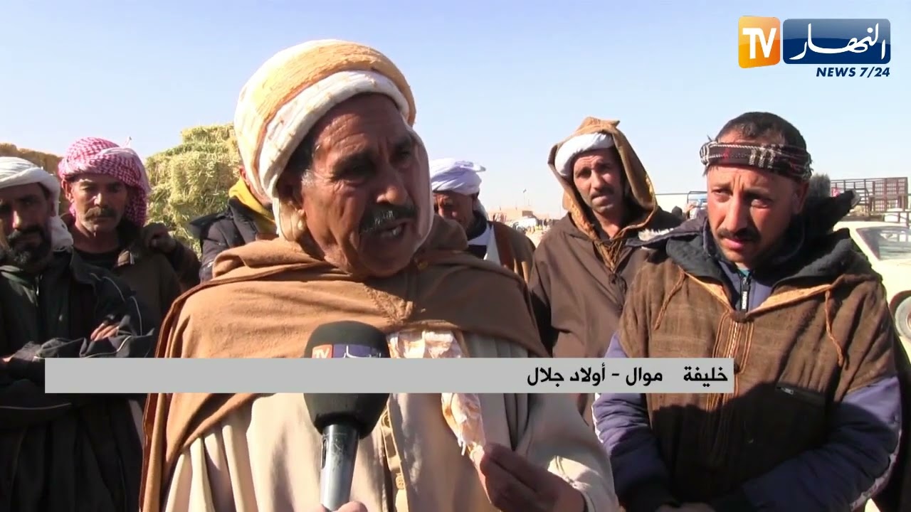أولاد جلال : موازاة مع إرتفاعها في الأسواق.. الموالون يطالبون بتنظيم توزيع الأعلاف
