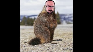 HEY VSAUCE GOPHER HERE