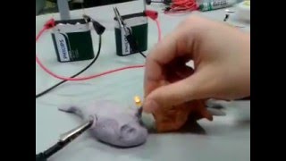 Vooluring Kasutades Elektrit Juhtivat Tainast