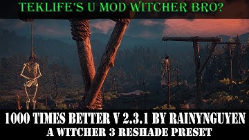 U Mod Witcher 3 Bro?  1000 Times Better v2.3.1 by RainyNguyen