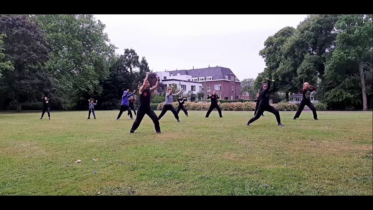 Outdoor lesson Tiger Crane Double Form 虎鶴雙形 YouTube
