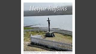 Hetjur Hafsins