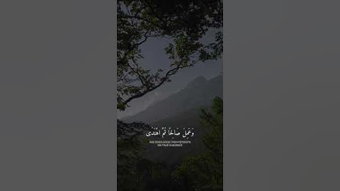 تلاوة خاشعة من سورة طه بصوت الشيخ هيثم الدخين