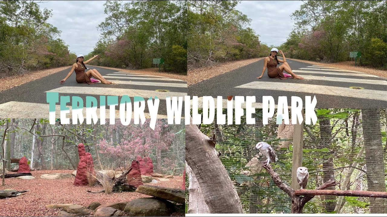 Territory wildlife Park 🇳🇿 - YouTube
