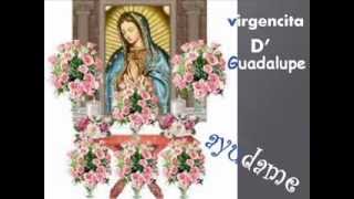 virgencita de Guadalupe oracion para casos dificiles y desesperados