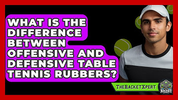 What Is The Difference Between Offensive And Defensive Table Tennis Rubbers? - The Racket Xpert