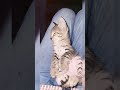 my cute cat photos 🥴🤪