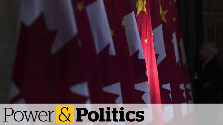 Canada shouldn't 'cave in' to China, says former Hong Kong politician | Power & Politics - DayDayNews