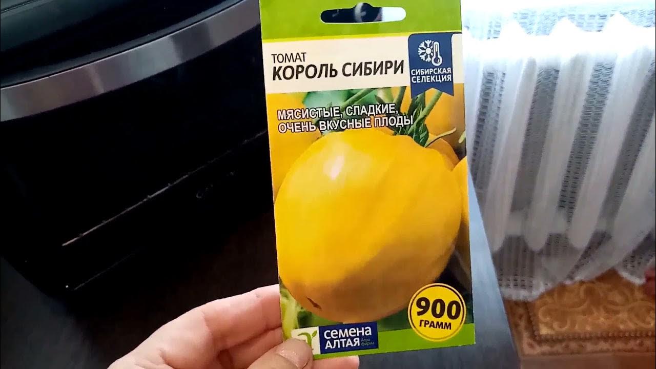 Томат король сибири описание фото