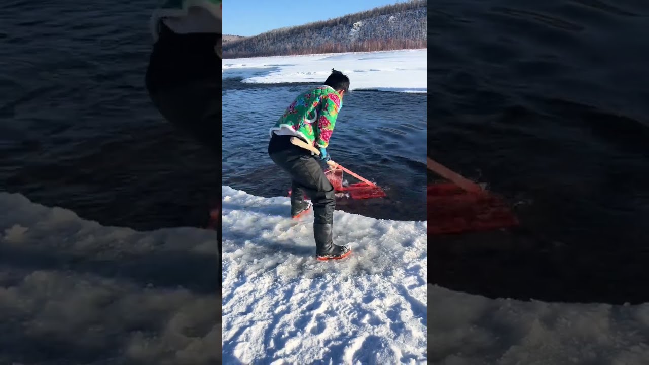 Fishing In Mohe The Northeast Joy Of Outdoor Wild Experiencex 415