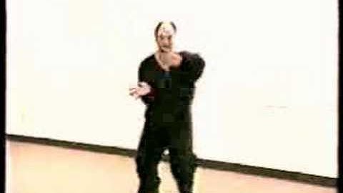 Chen Style Tai Chi by Bruce Frantzis