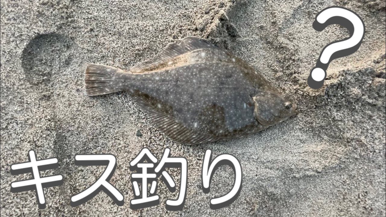 【キス釣り】落ちギス探して丹後半島を一周してみた・・・