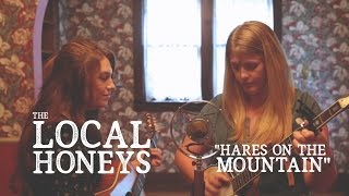 The Local Honeys - "Hares On The Mountain" (SomerSessions) chords