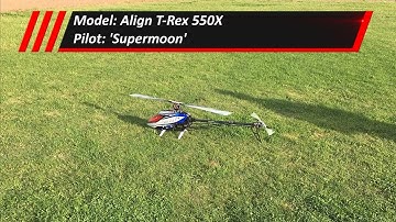 Align T-Rex 550X - Workout - RC Pilot 
