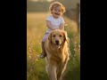 #cute #entertainment #funny #viralvideo #dog #fun #animals #shorts #shortsfeed#viralshorts