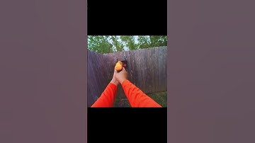 A Bad Dart | Nerf Dart Tag Speedload #nerfreload