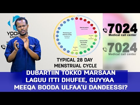 Dubartiin Tokko Marsaa Laguu Booddee Guyyaa Meeqaffaatti Ulfaa Uu Dandeessi Yookoodoctor 7024