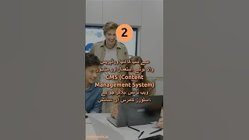 WordPress Development